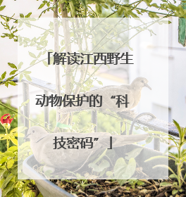 解读江西野生动物保护的“科技密码”
