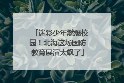 迷彩少年燃爆校园！北海这场国防教育展演太飒了