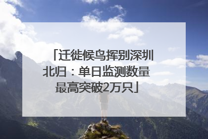 迁徙候鸟挥别深圳北归：单日监测数量最高突破2万只