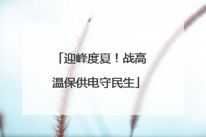 迎峰度夏！战高温保供电守民生