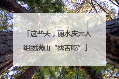 这些天，丽水庆元人组团满山“找苦吃”
