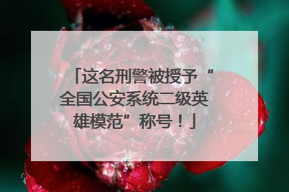 这名刑警被授予“全国公安系统二级英雄模范”称号！