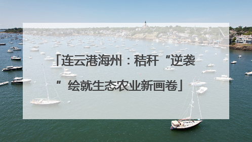 连云港海州：秸秆“逆袭”绘就生态农业新画卷