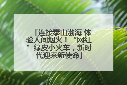 连接泰山渤海 体验人间烟火！“网红”绿皮小火车，新时代迎来新使命
