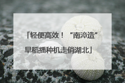 轻便高效！“南漳造”旱稻播种机走俏湖北