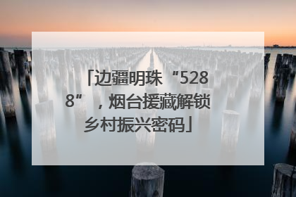 边疆明珠“5288”，烟台援藏解锁乡村振兴密码