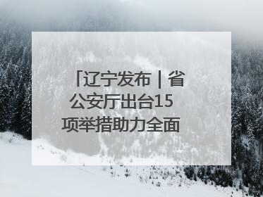 辽宁发布｜省公安厅出台15项举措助力全面振兴新突破三年行动决胜之战