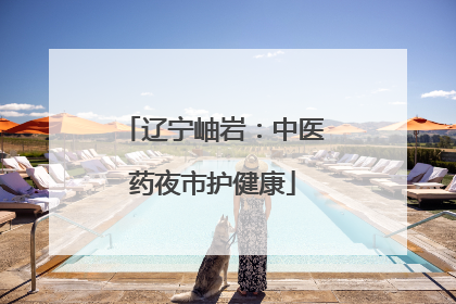 辽宁岫岩：中医药夜市护健康