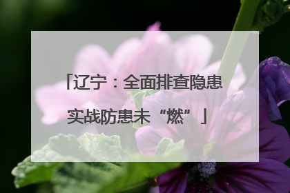辽宁：全面排查隐患 实战防患未“燃”