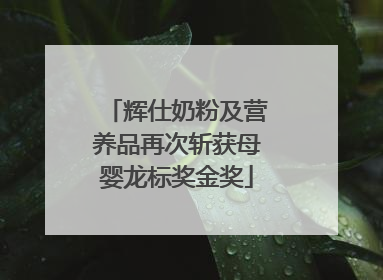 辉仕奶粉及营养品再次斩获母婴龙标奖金奖