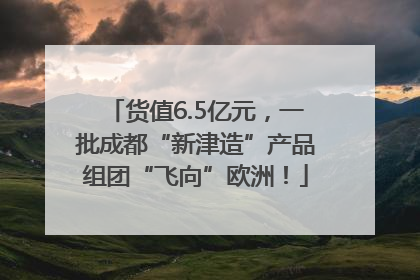 货值6.5亿元，一批成都“新津造”产品组团“飞向”欧洲！