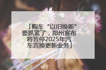 购车“以旧换新”要抓紧了，郑州宣布将暂停2025年汽车置换更新业务
