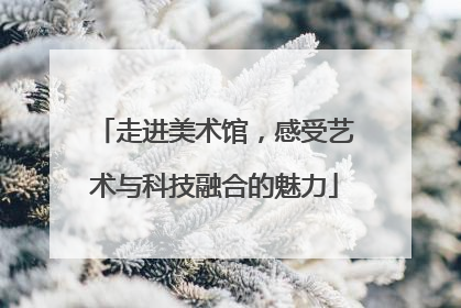 走进美术馆，感受艺术与科技融合的魅力