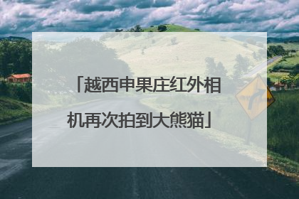 越西申果庄红外相机再次拍到大熊猫
