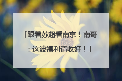 跟着苏超看南京！南哥：这波福利请收好！