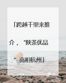 跨越千里来推介，“陕茶优品”亮相杭州