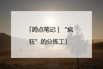 蹲点笔记｜“疯狂”的分拣工