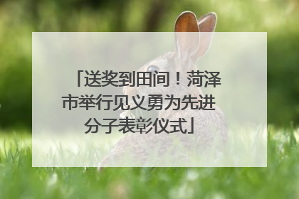 送奖到田间！菏泽市举行见义勇为先进分子表彰仪式