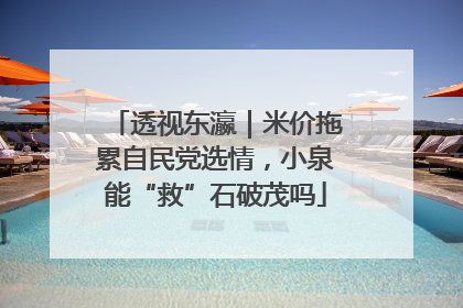 透视东瀛｜米价拖累自民党选情，小泉能“救”石破茂吗