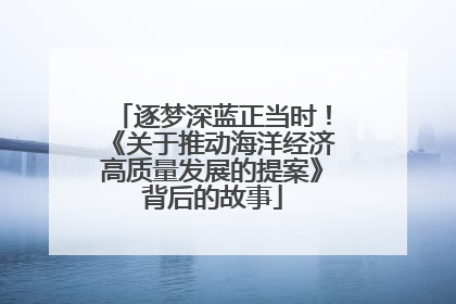 逐梦深蓝正当时！《关于推动海洋经济高质量发展的提案》背后的故事