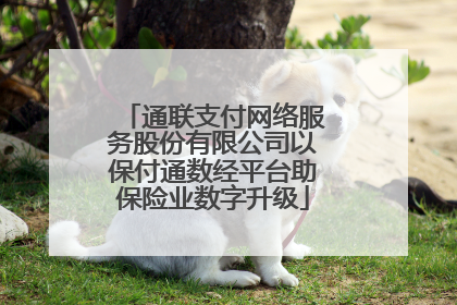 通联支付网络服务股份有限公司以保付通数经平台助保险业数字升级