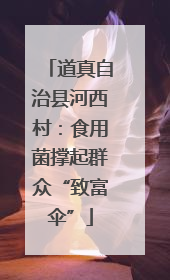道真自治县河西村：食用菌撑起群众“致富伞”