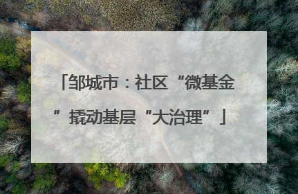 邹城市：社区“微基金”撬动基层“大治理”