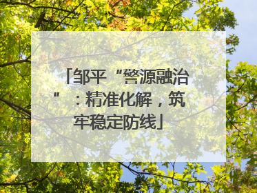 邹平“警源融治”：精准化解，筑牢稳定防线