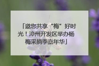 邀您共享“梅”好时光！漳州开发区举办杨梅采摘季嘉年华