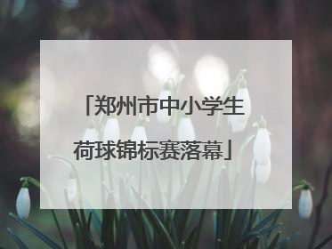 郑州市中小学生荷球锦标赛落幕