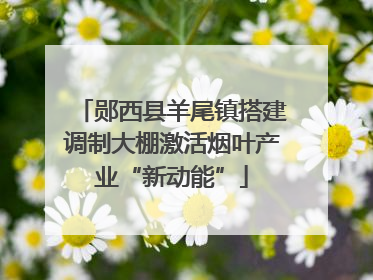 郧西县羊尾镇搭建调制大棚激活烟叶产业“新动能”