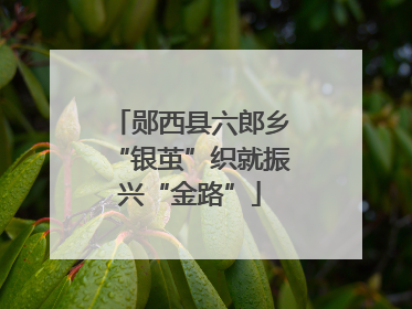 郧西县六郎乡“银茧”织就振兴“金路”