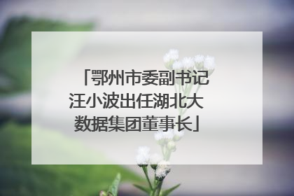 鄂州市委副书记汪小波出任湖北大数据集团董事长