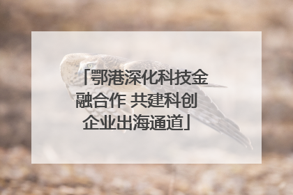 鄂港深化科技金融合作 共建科创企业出海通道