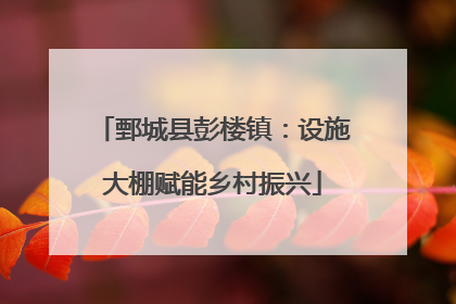 鄄城县彭楼镇：设施大棚赋能乡村振兴