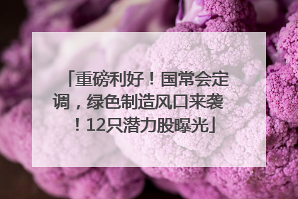 重磅利好！国常会定调，绿色制造风口来袭！12只潜力股曝光