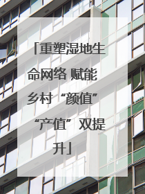 重塑湿地生命网络 赋能乡村“颜值”“产值”双提升