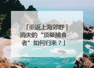 重返上海郊野｜消失的“顶级捕食者”如何归来？