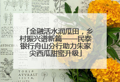 金融活水润瓜田，乡村振兴谱新篇——民泰银行舟山分行助力朱家尖西瓜甜蜜升级