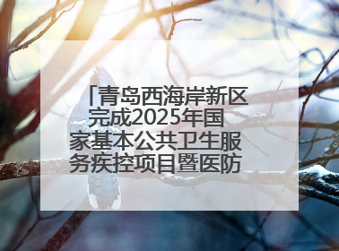 青岛西海岸新区完成2025年国家基本公共卫生服务疾控项目暨医防融合督导工作