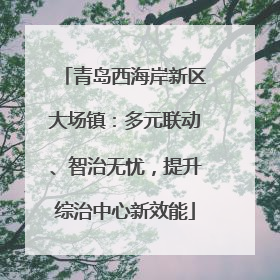 青岛西海岸新区大场镇：多元联动、智治无忧，提升综治中心新效能