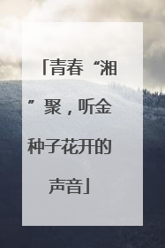 青春“湘”聚，听金种子花开的声音