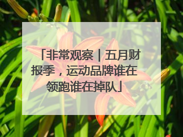 非常观察｜五月财报季，运动品牌谁在领跑谁在掉队