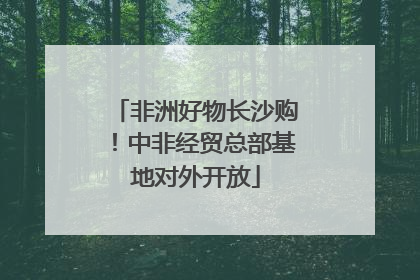 非洲好物长沙购！中非经贸总部基地对外开放