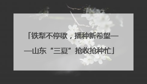 铁犁不停歇，播种新希望——山东“三夏”抢收抢种忙