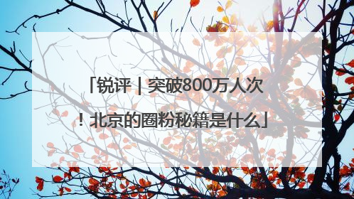 锐评｜突破800万人次！北京的圈粉秘籍是什么