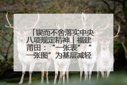锲而不舍落实中央八项规定精神丨福建莆田：“一张表”“一张图”为基层减轻“数字负担”