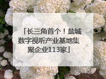 长三角首个！盐城数字视听产业基地集聚企业113家