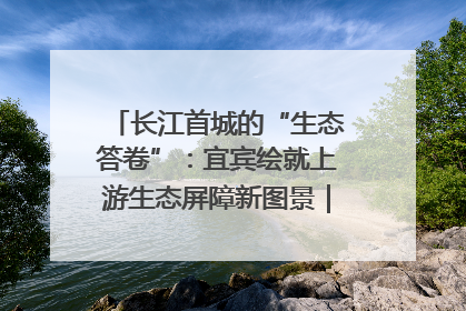 长江首城的“生态答卷”：宜宾绘就上游生态屏障新图景｜中华环保世纪行