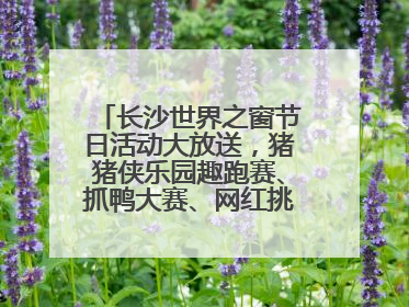 长沙世界之窗节日活动大放送，猪猪侠乐园趣跑赛、抓鸭大赛、网红挑战全都有